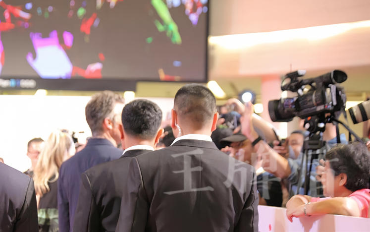 王牌盾保镖团队为知名歌手全球巡演提供安全保护