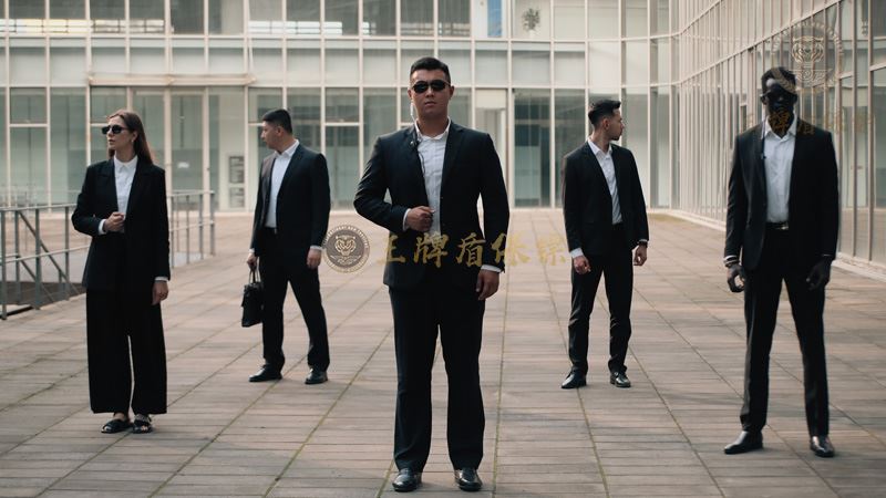 南京艺人安保指南：专业守护，成就星光从容